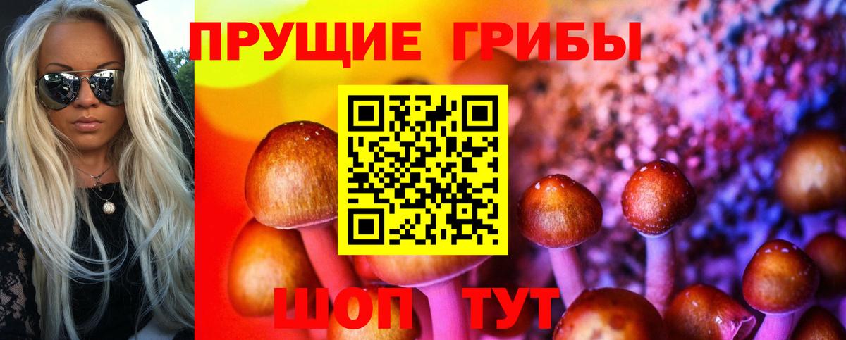 Галлюциногенные грибы мицелий  Вход с VPN  Чусовой 
