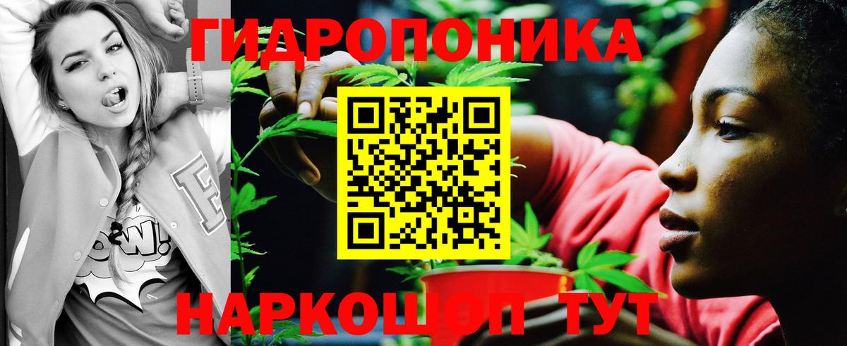 Канабис Amnesia Чусовой